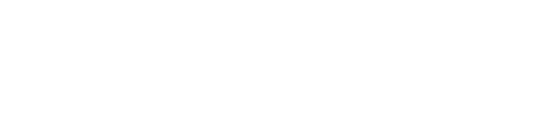 vividstory